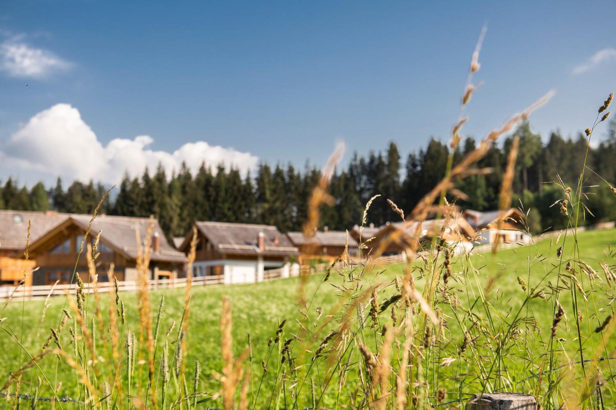 Lerchpeuntgut Alpenfreud Apartments Тамсвеґ Екстер'єр фото